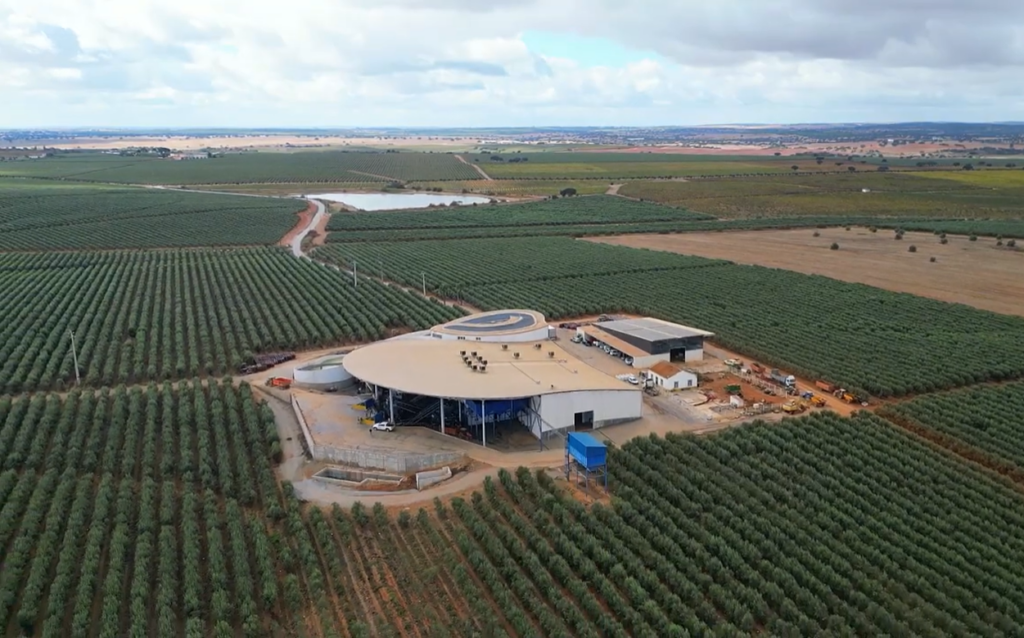 𝗧𝗵𝗲 𝗶𝗻𝘁𝗲𝗿𝘃𝗶𝗲𝘄 𝘄𝗶𝘁𝗵 Tomás Jónatas, 𝗼𝘂𝗿 𝗖𝗢𝗢 𝗮𝘁 𝗕𝗼𝗹𝘀𝗰𝗵𝗮𝗿𝗲 𝗔𝗴𝗿𝗶𝗰𝘂𝗹𝘁𝘂𝗿𝗲