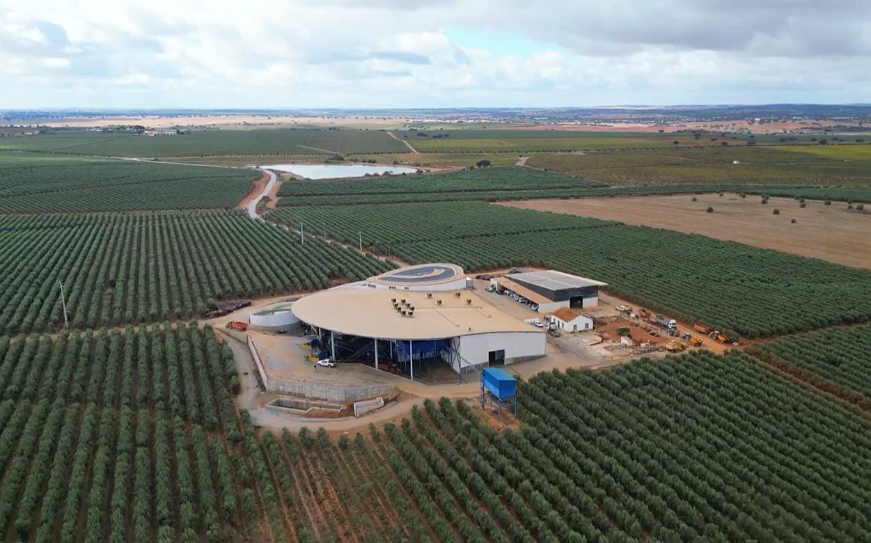 𝗧𝗵𝗲 𝗶𝗻𝘁𝗲𝗿𝘃𝗶𝗲𝘄 𝘄𝗶𝘁𝗵 Tomás Jónatas, 𝗼𝘂𝗿 𝗖𝗢𝗢 𝗮𝘁 𝗕𝗼𝗹𝘀𝗰𝗵𝗮𝗿𝗲 𝗔𝗴𝗿𝗶𝗰𝘂𝗹𝘁𝘂𝗿𝗲